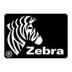 Zebra in Romania
